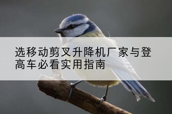 监利电动升降机厂家-选移动剪叉升降机厂家与登高车必看实用指南