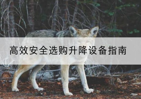 监利升降货梯厂家推荐-*安全选购升降设备指南
